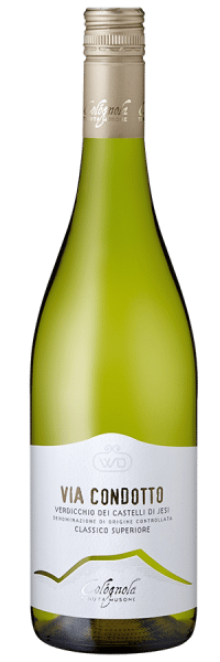 Via Condotto Verdicchio Castelli hier Weißwein Cológnola online kaufen Italienischer - 2020 - Tenuta Musone Jesi dei di - - bei